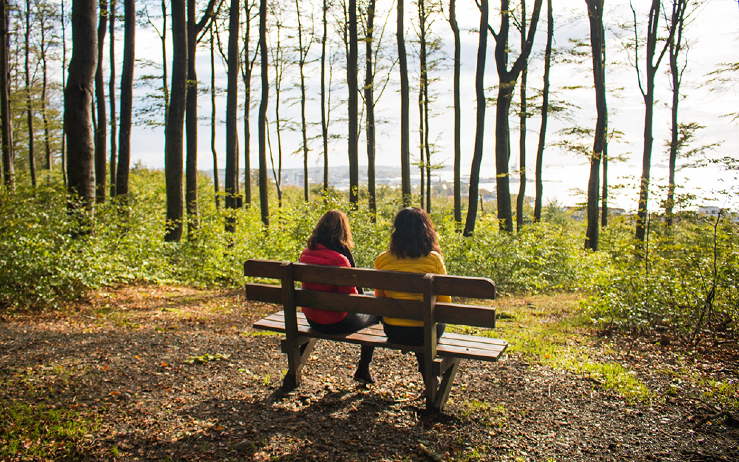 Bøkeskogen. Foto: visitvestfold.com