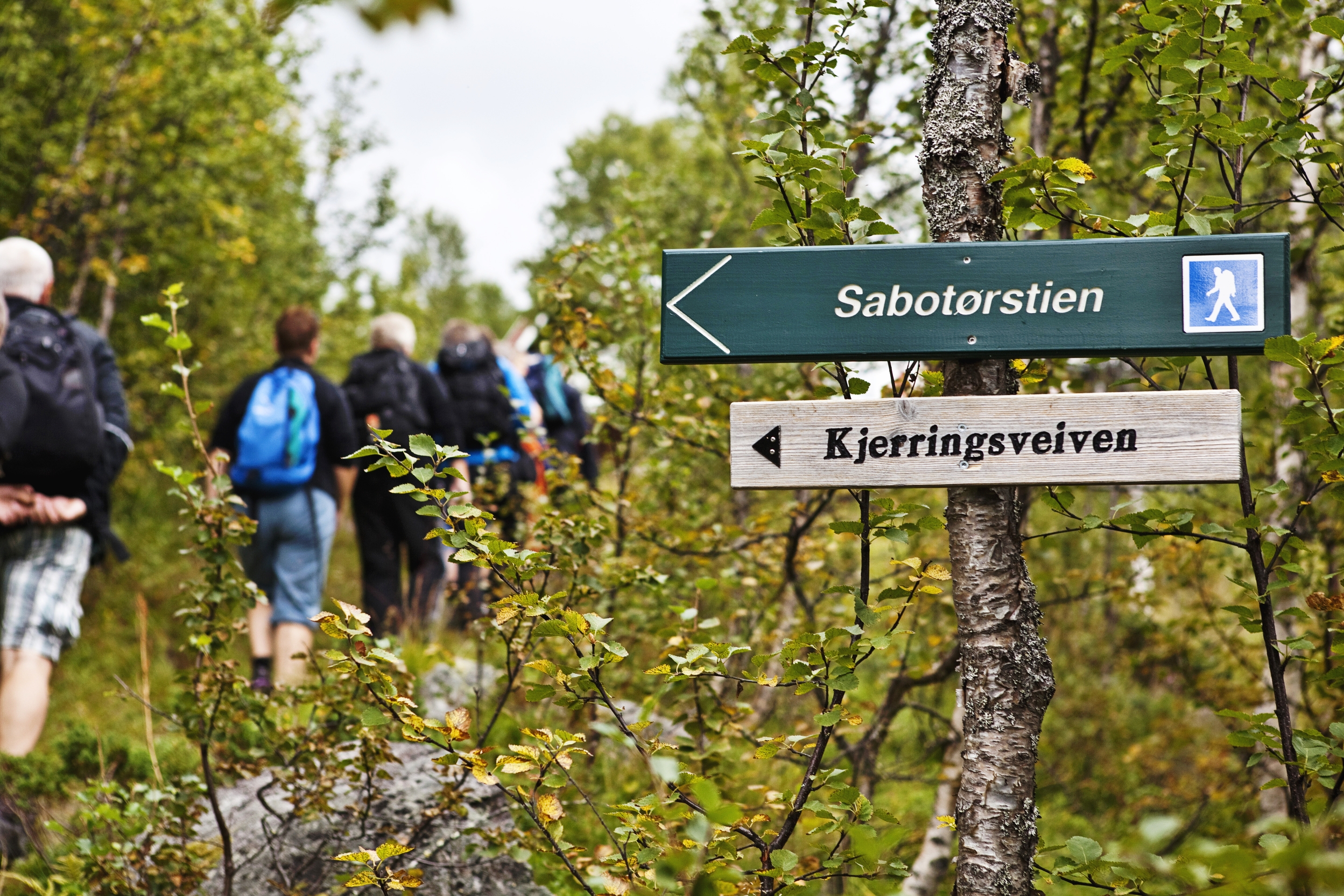 Vandring l&auml;ngs den historiska Sabot&oslash;rstien. Foto: Elisabeth Haig Jacobsen.