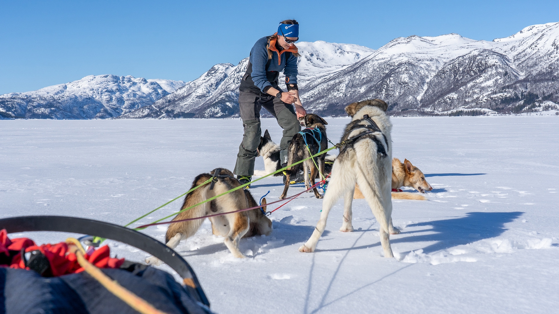 Hundspann p&aring; en frusen sj&ouml; i fj&auml;lllandskap.